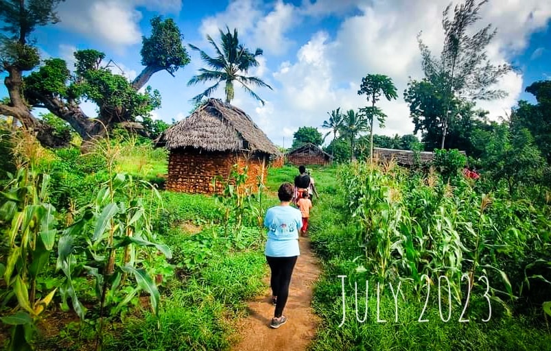 Board oversight in meeting